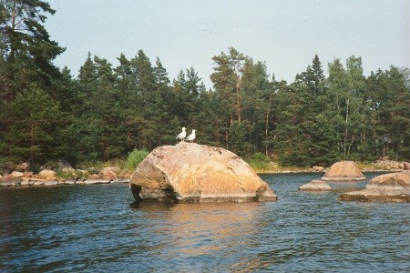 Tipustenen, R�sund