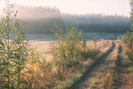 Morgondis
