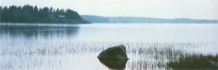 Morning water