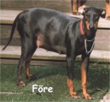 Ennen - Before