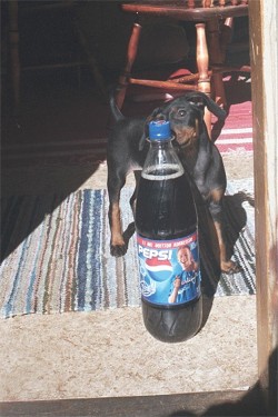 "They call it after me!"