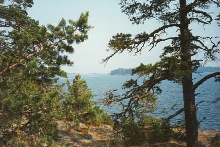 Viasvy mot �ster